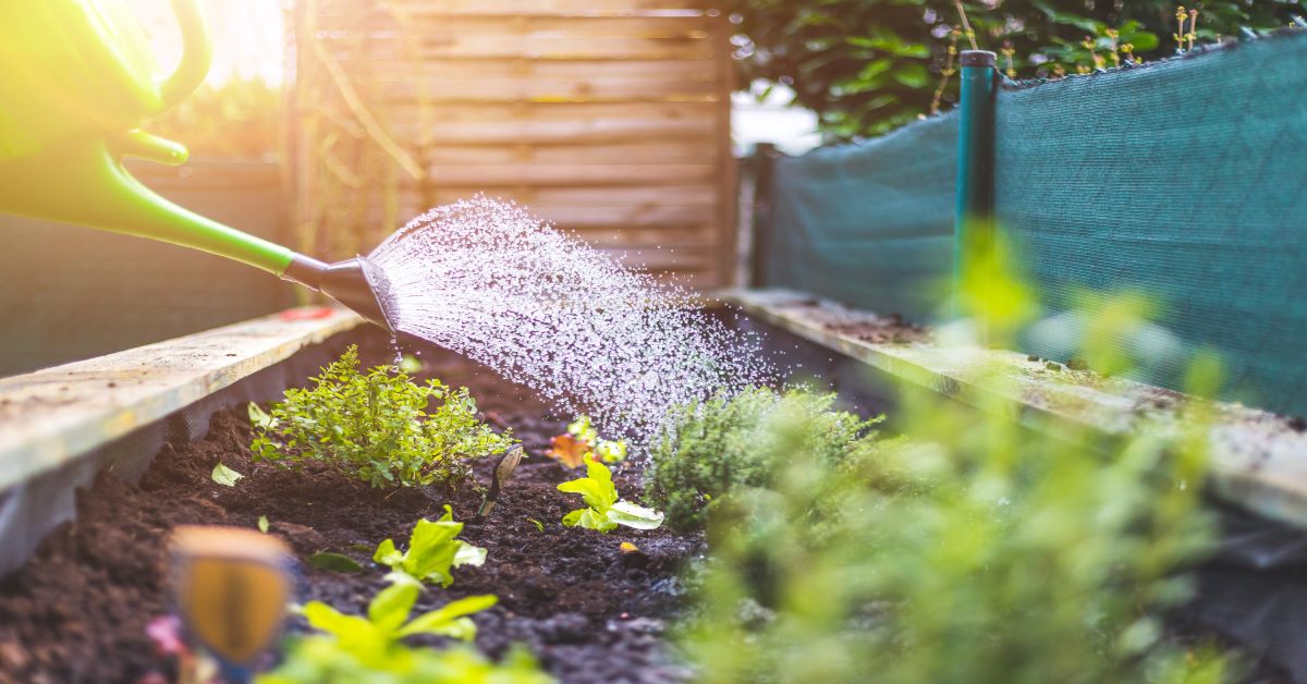 Garden Beds Portland