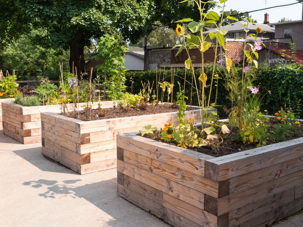 Raised Garden Bed Materials Near Me Portland Or