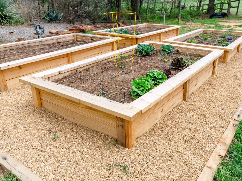 Raised Garden Bed Materials Portland Or